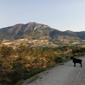 Photo de profil de Thierry Carreno