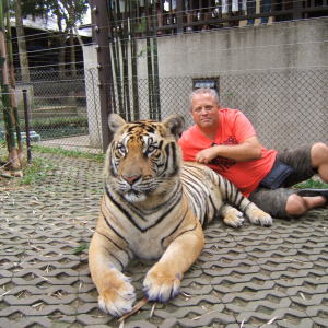 Photo de profil de Thierry Gache