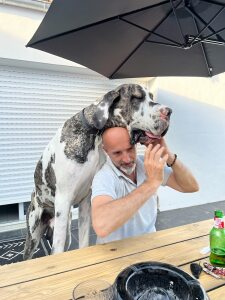 Photo de profil de Thierry Jobiniot