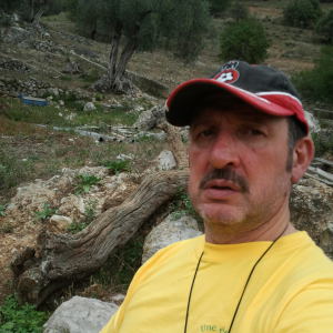 Photo de profil de Thierry Maurel