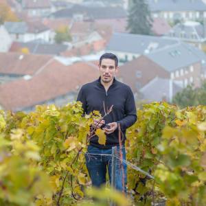 Photo de profil de Thomas Ragot