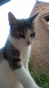 Photo de profil de Valerie Ducrocq