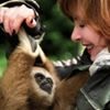 Photo de profil de Valerie Guelou