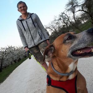 Photo de profil de Véronique Harmelle