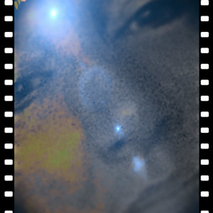 Photo de profil de Veronique Ricci