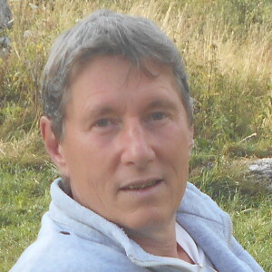 Photo de profil de Vincent Bosc