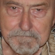Photo de profil de Vincent Loncault