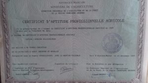Photo de profil de William Pineau