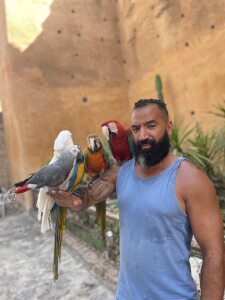 Photo de profil de Younes Boukharaz