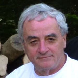 Photo de profil de Yves Camarroque