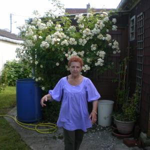 Photo de profil de Zina Helene Amara