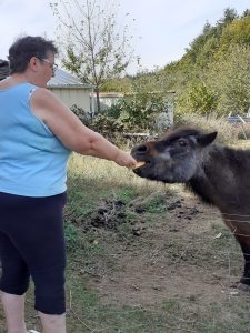 Photo de profil de georgette vinzant